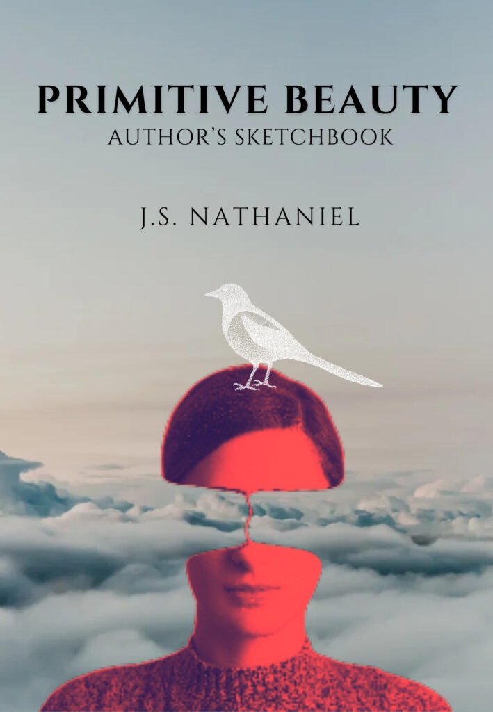 alt="Primitive Beauty: Author’s Sketchbook book cover by J.S. Nathaniel featuring a red-toned portrait emerging from clouds with a white bird above"